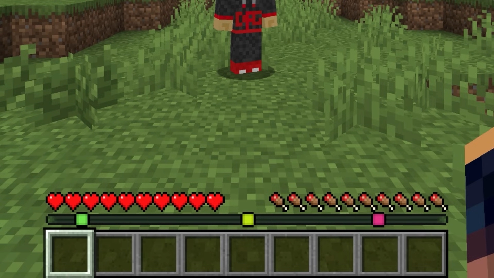 Image showcasing the Player Locator Bar in the new Minecraft 1.21.6 Update