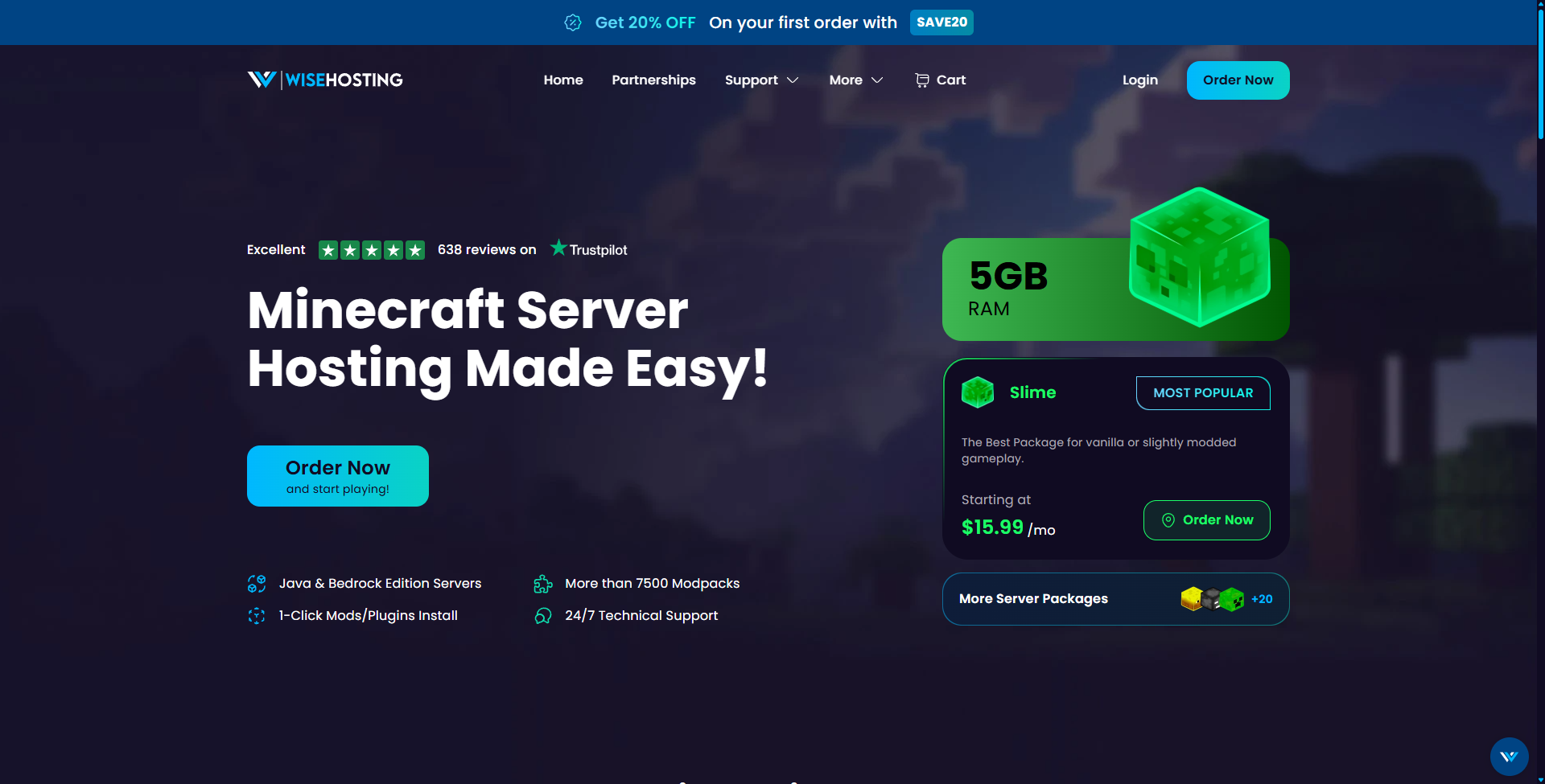 Image showcasing the homepage of WiseHosting
