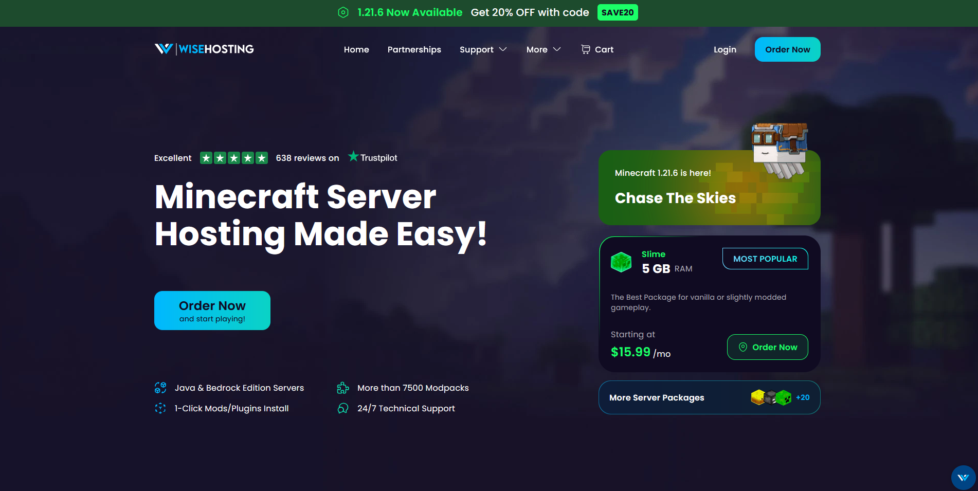 Image showcasing the homepage of WiseHosting