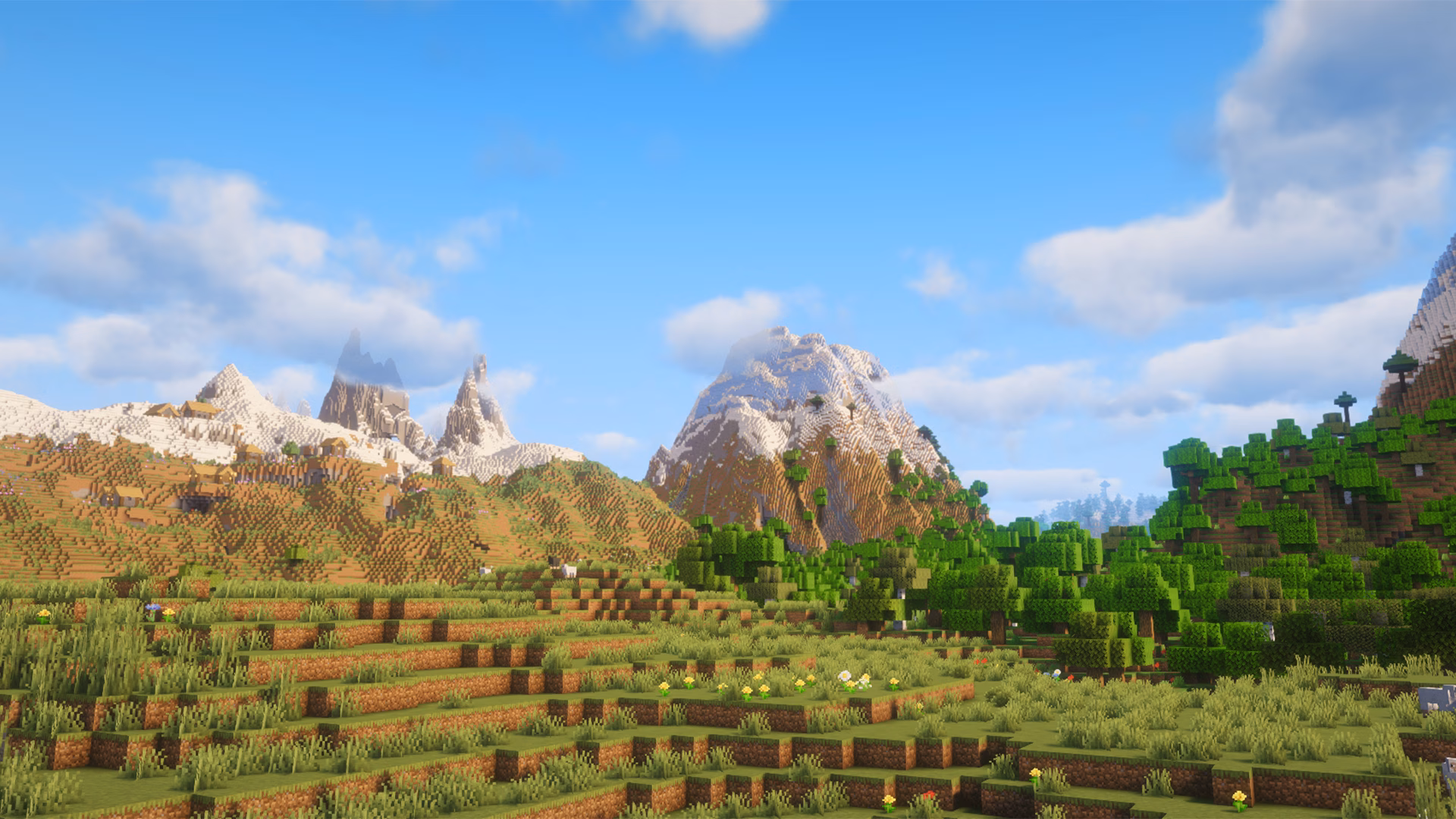 The highest mountain (256 blocks)